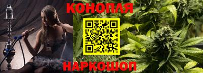 прущие грибы Балашиха