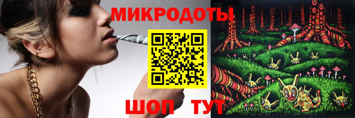 Псилоцибиновые грибы мицелий Дедовск