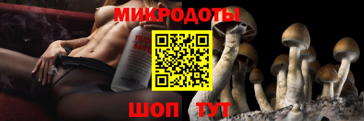 Дедовск  Галлюциногенные грибы Psilocybine cubensis  купить   Вход с VPN 
